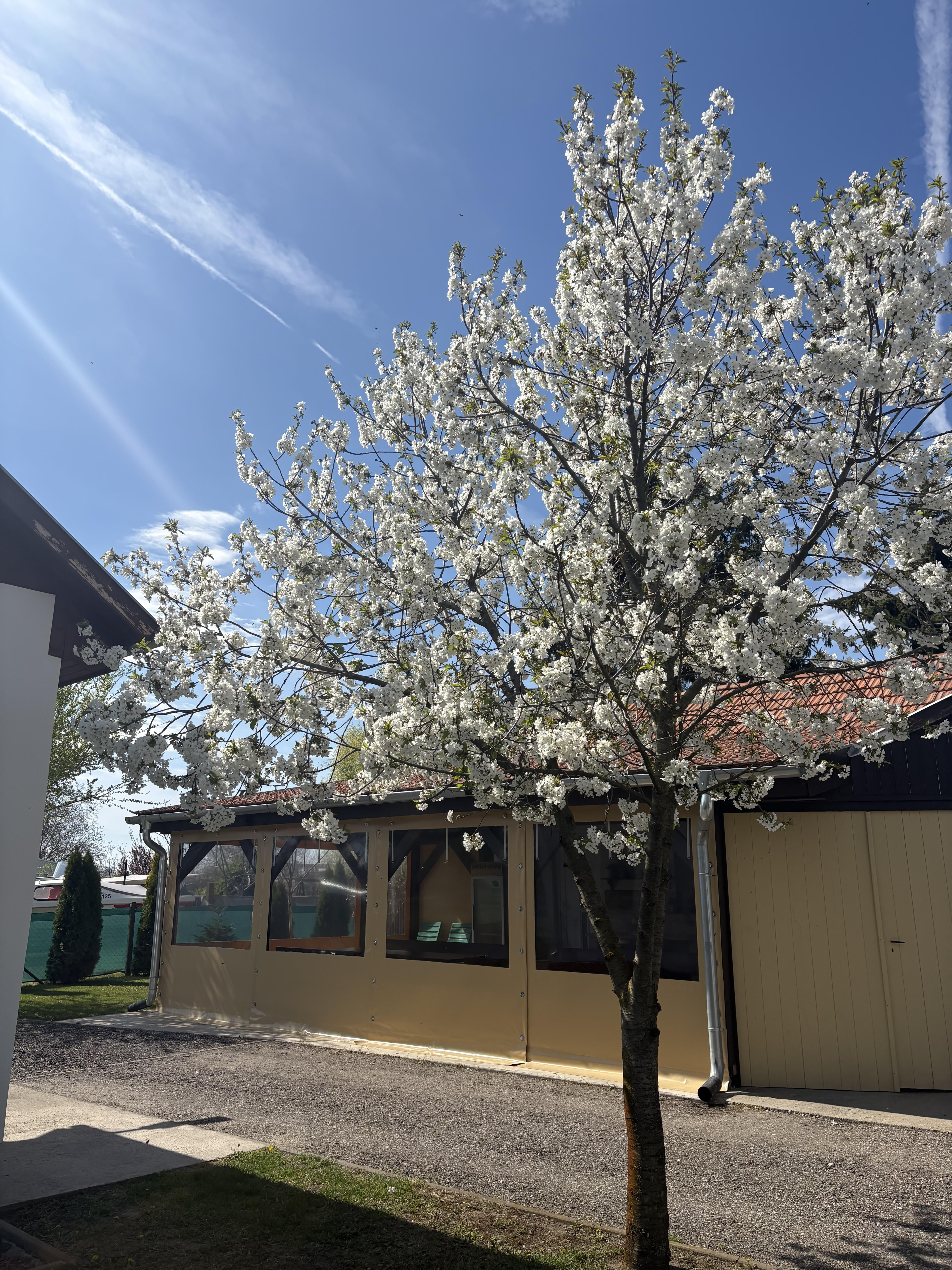 Külső nézet – 4.